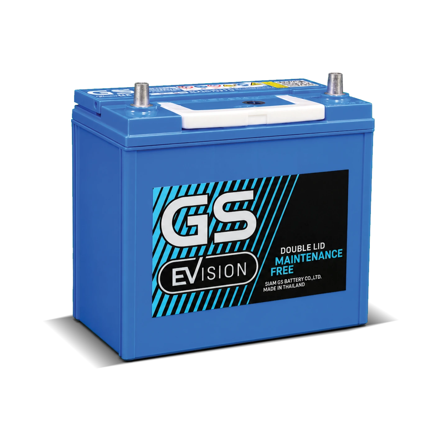 GS EVS-N55L
